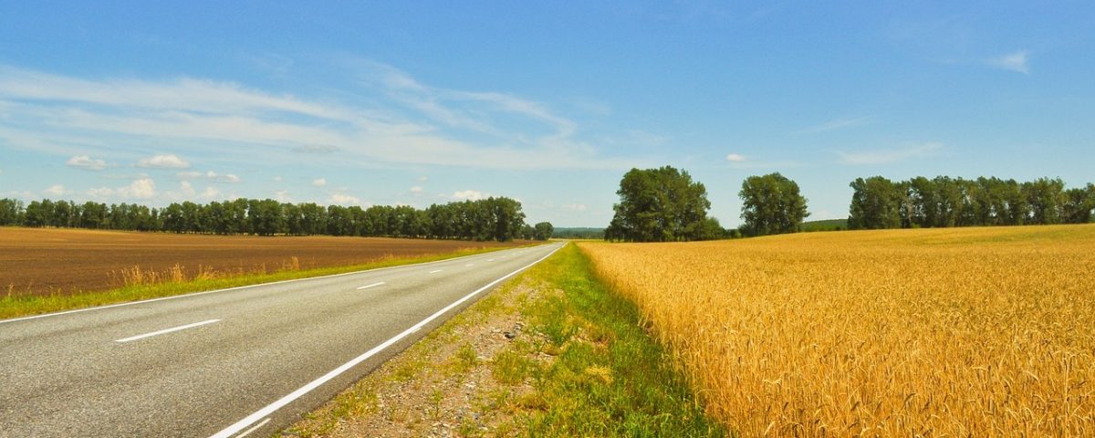 agriculture, field, harvest-71497.jpg